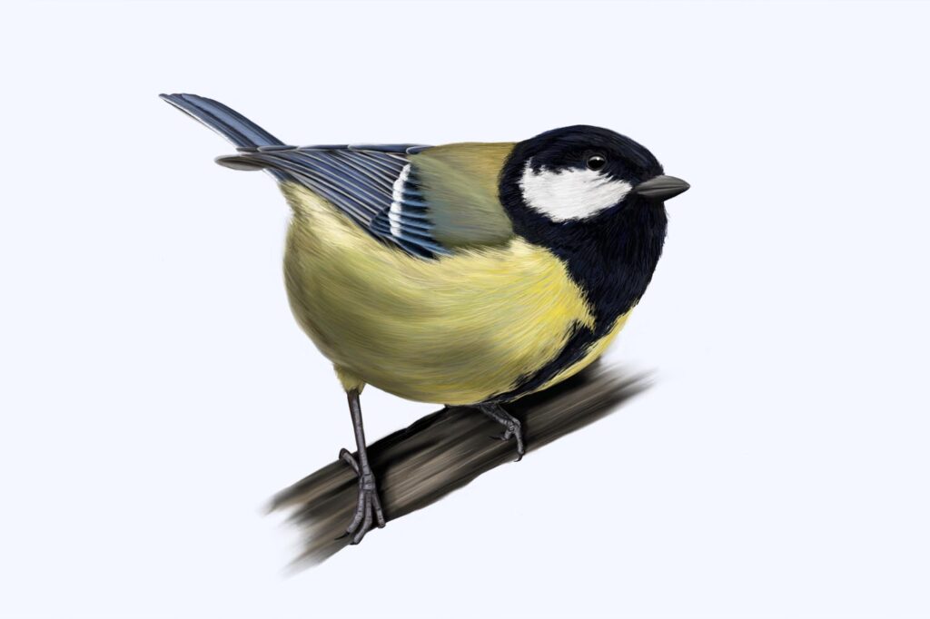 Panel Recorrido Carbonero La Rioja