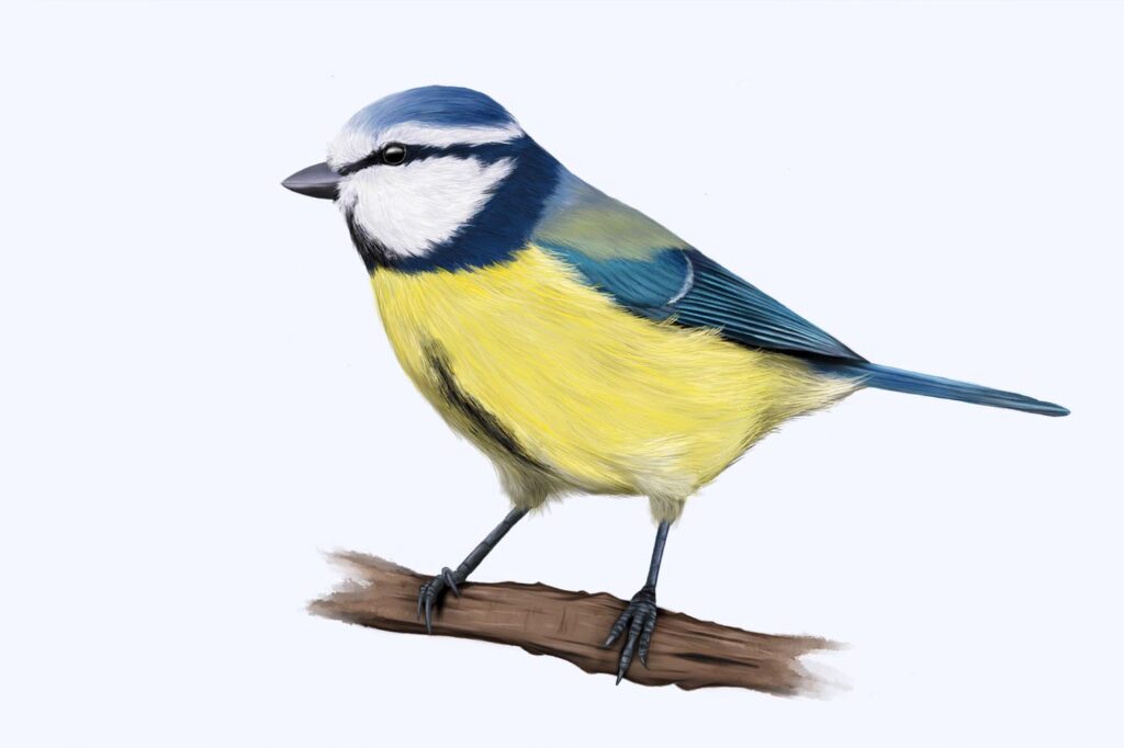 Panel Recorrido Herrerillo La Rioja